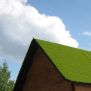 Miniaturka Veranda House Nature Grass Roof (2)
