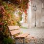 Bench, Steel Contruction with wooden slats and metal frame placed on cobblestone path near autumn foliage