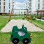Double Auto rocking playground spring rider shaped like a green car with black wheels on grass.